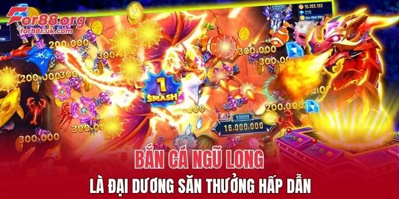Ngũ Long là đại dương săn thưởng hấp dẫn