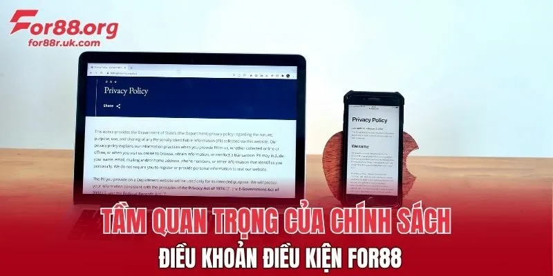 Thông tin về điều khoản điều kiện tại FOR88
